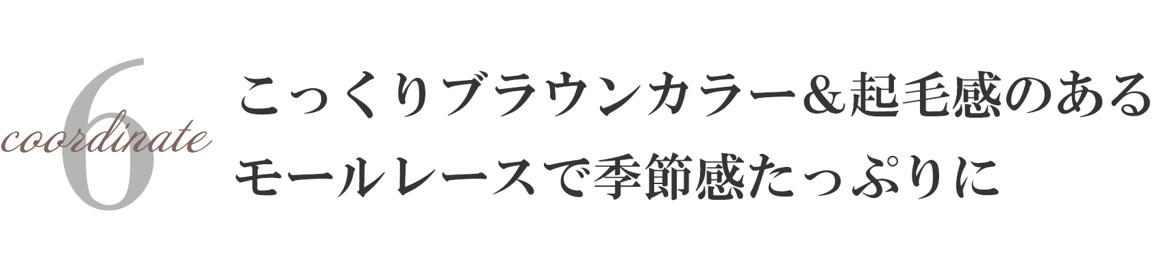 こっくりブラウンカラー＆起毛感のある
              モールレースで季節感たっぷりに