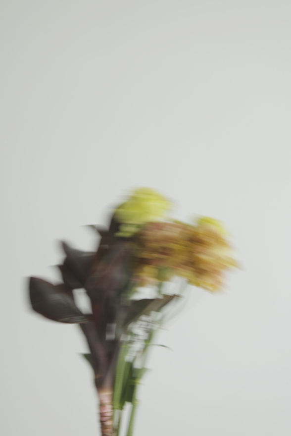 img08