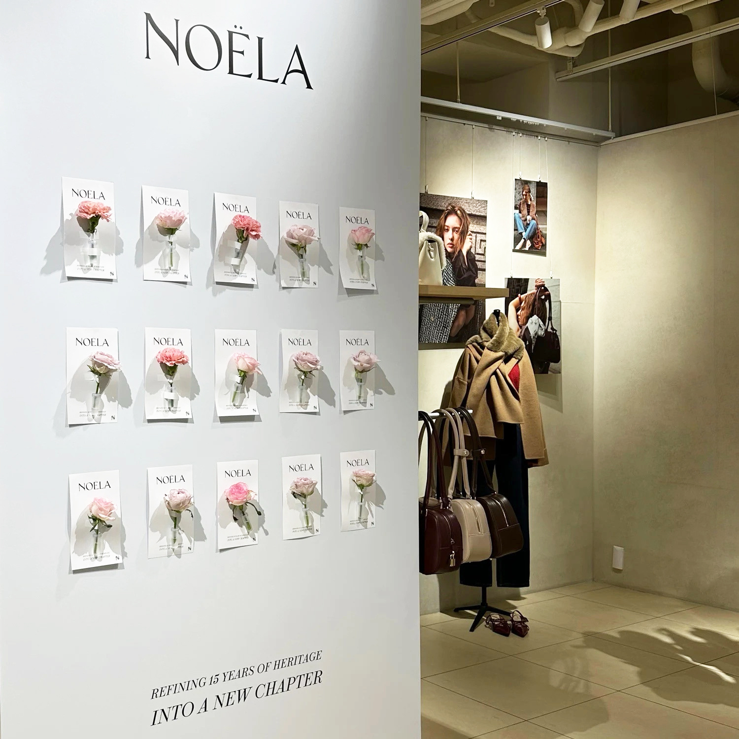 NOELA NEW CHAPTER