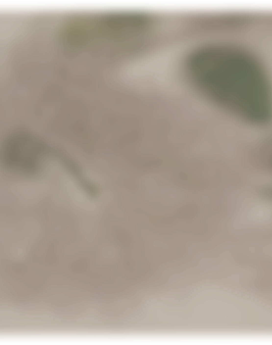 bg2