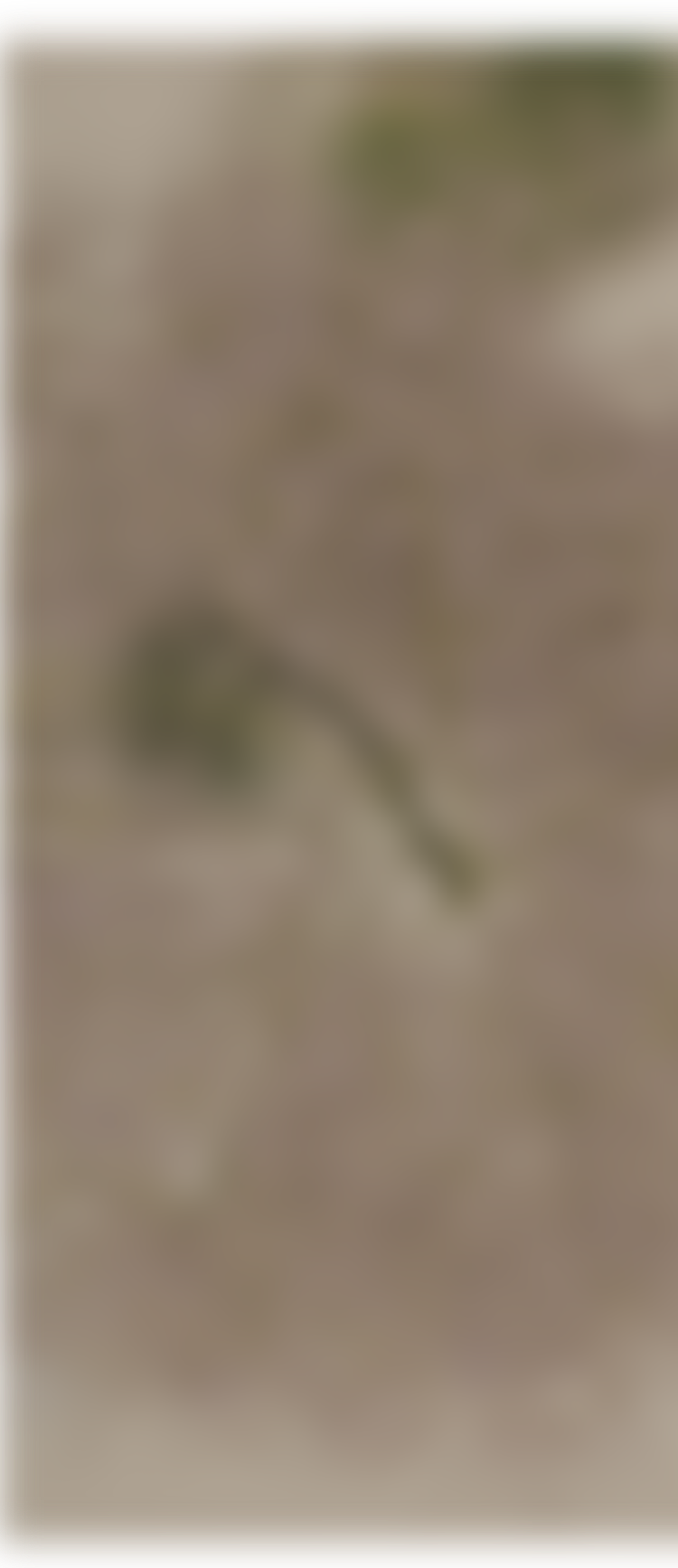 bg2_sp