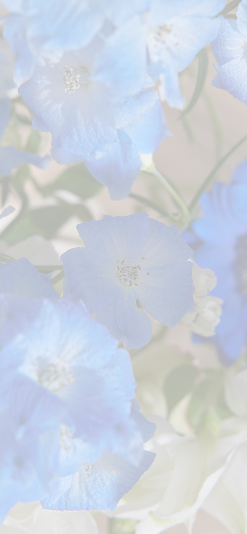 bg5