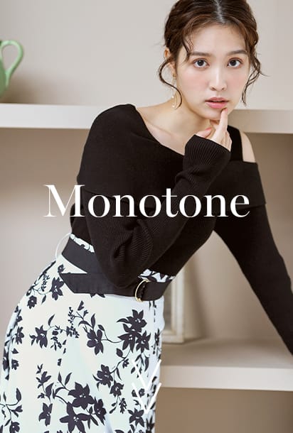 mv_Monotone画像